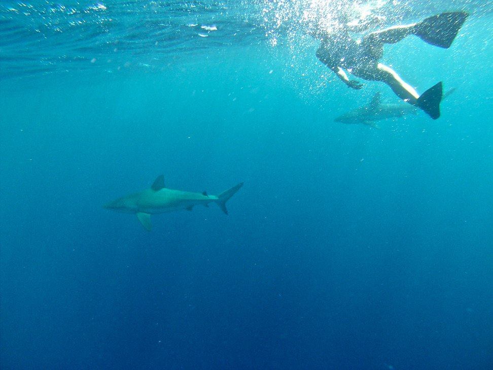 13958064_10210679833972396_7454790516262260831_o