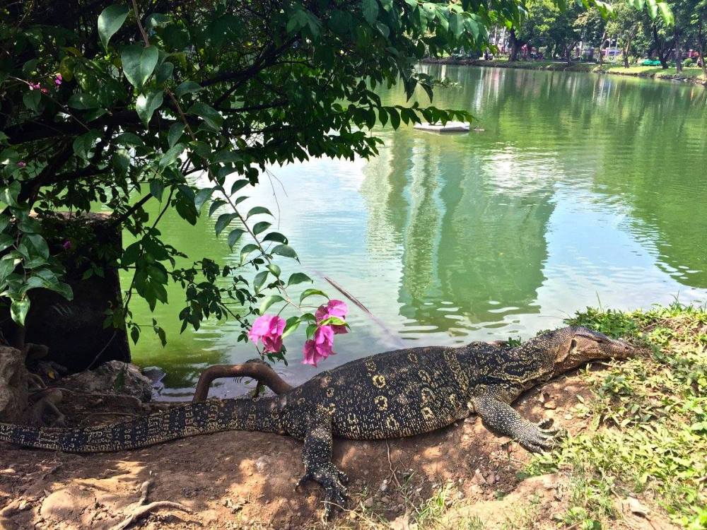 14691891_10211466096028456_7244523455014885781_o